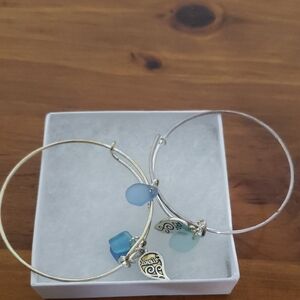 Chic Silver and Blue Charm Bracelet Set